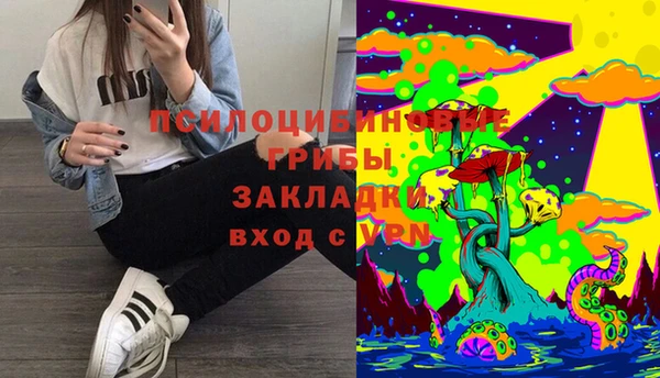 соль курить ск Верея