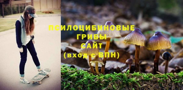 альфа пвп Верхнеуральск