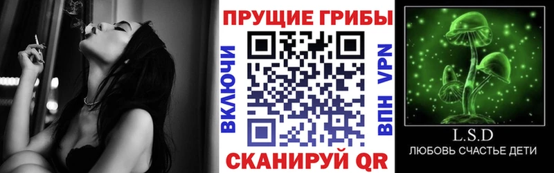цена наркотик Волхов Галлюциногенные грибы Cubensis