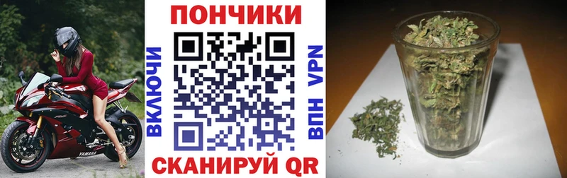 Каннабис гибрид Волхов